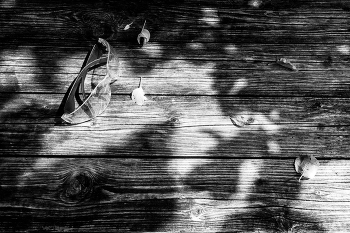 Life around / ***