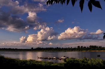 Summer evening. / ***