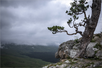 ***Higher than clouds / ***