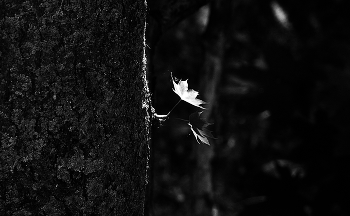 All ahead / ***