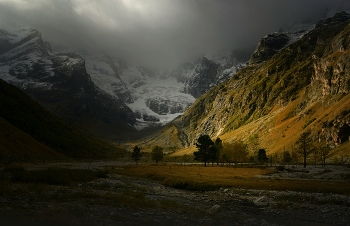 Gloomy / ***