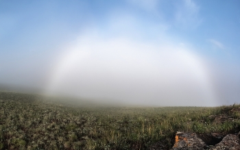 White Rainbow / ***