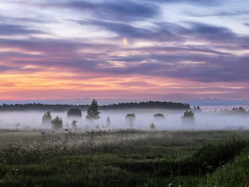Morgennebel / ***