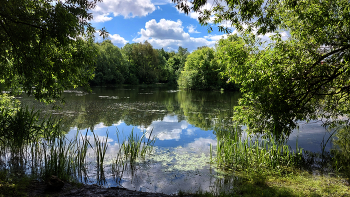 Old pond / ***