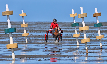 Mini - Watt - Traber / ***