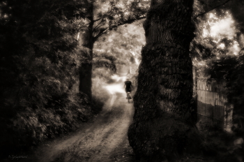 Back to the Past / ***