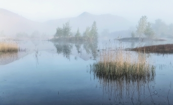 Nature wakes up / ***