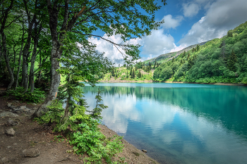 Green Lake In Summer / ***