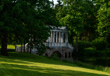 in the park / ***