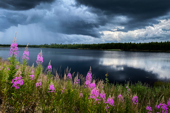 Before the storm / ***