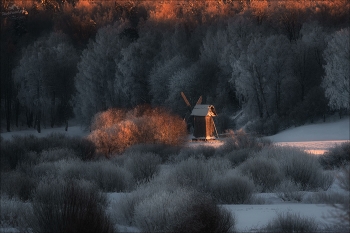 Hibernation / ***