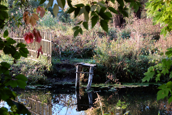 backwater / ***