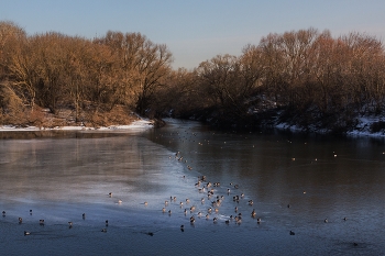 February Thaw / ***