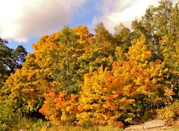 Autumn Gatchina / ***