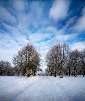 Morning winter / ***