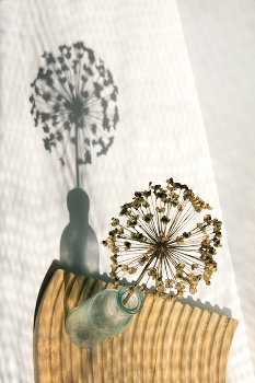 High Noon / ***