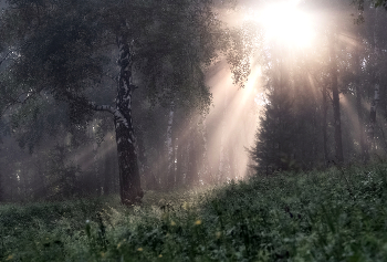 With the first rays / ***