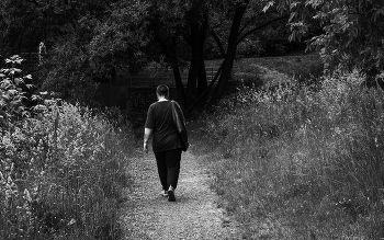 Walking in summer park / ***