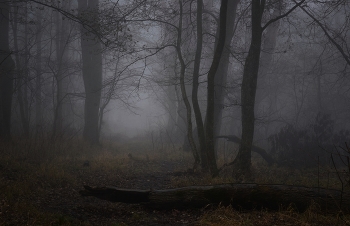 Misty / ***