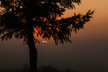 New day / ***