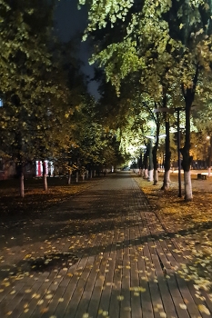 It was getting dark ... / ***