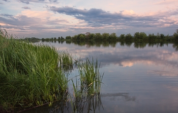 calm ... / ***