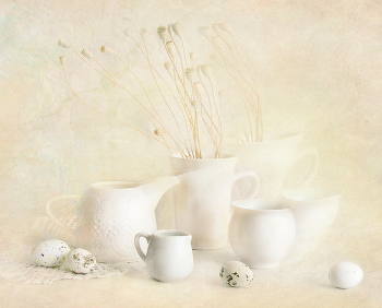 White still life / ***