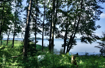 Day in July / ***