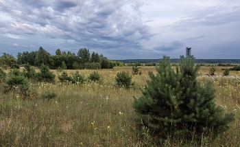 &nbsp; / ***