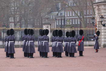&nbsp; / ***