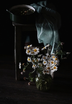 Chamomile ... / ***