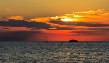 purple sunset / ***