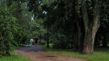 Walking in summer park / ***