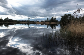 Before the storm / ***