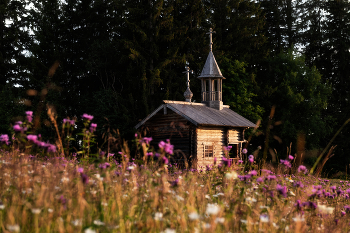 Chapel of Alexander Nevsky / ***