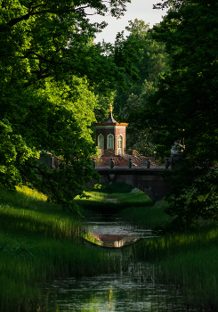 evening in the park / ***