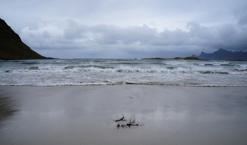 Autograph / ***