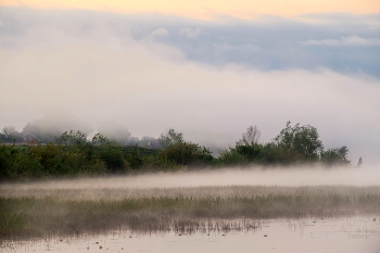Foggy morning / ***