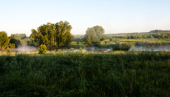 Native open spaces. / ***