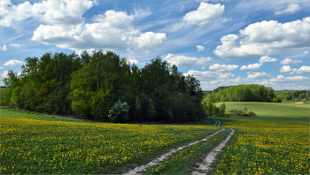 &nbsp; / ***