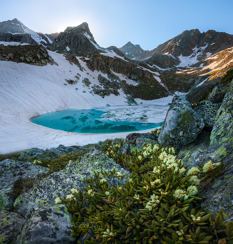 Summer in the mountains / ***