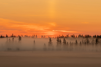Foggy sunset / ***