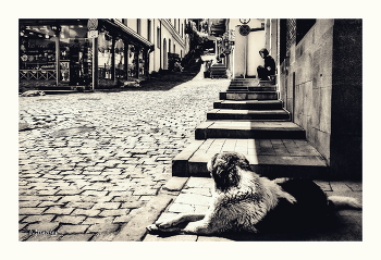Burnt by the Sun / ***