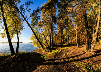 Morning on the lake / ***