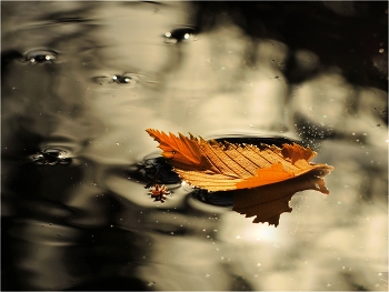 Adrift / ***