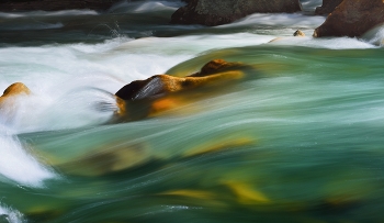 Mountain Stream / ***