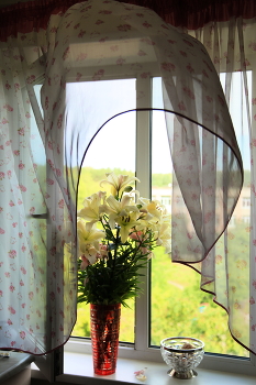 window in the summer / ***