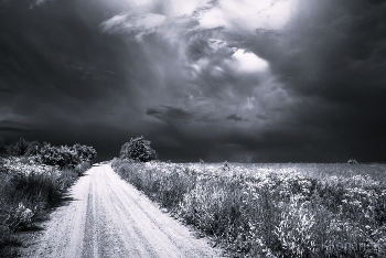 Before the storm / ***