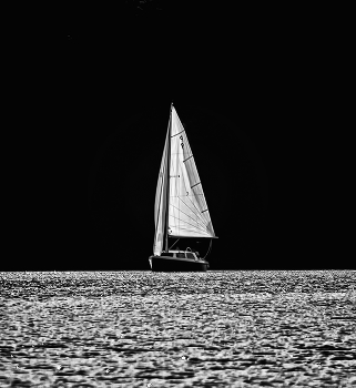 White Sail / ***