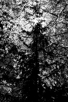 Life around / ***